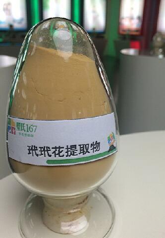 专业直供现货玳玳花提取物 枳壳花提取物